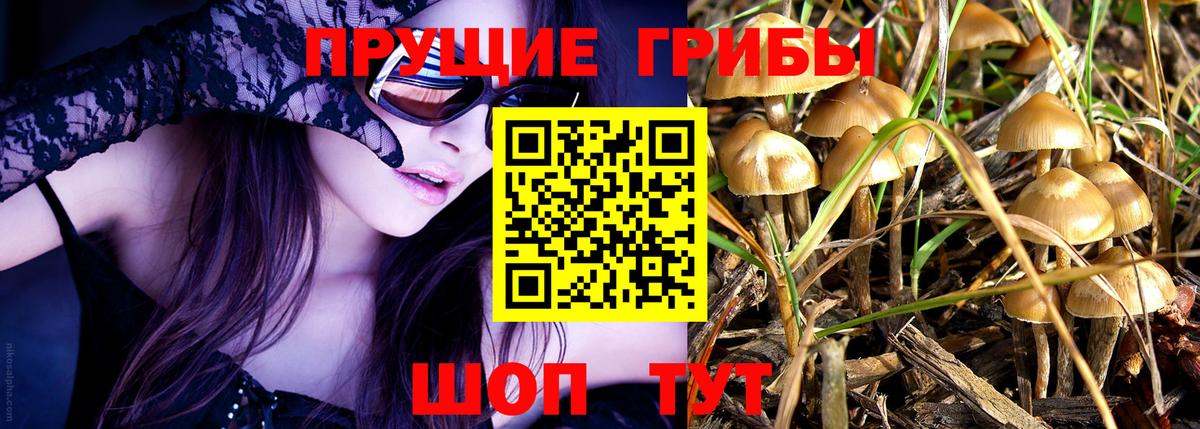 Трёхгорный  Галлюциногенные грибы мухоморы  Вход с VPN 