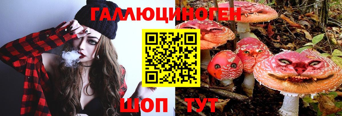 Псилоцибиновые грибы MAGIC MUSHROOMS Трёхгорный